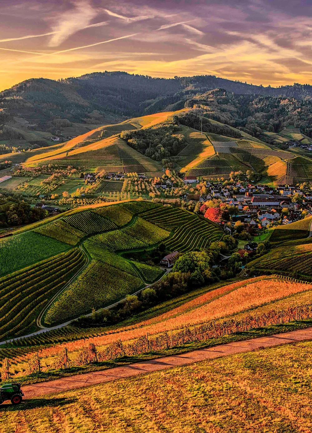 We grow fresh, organic produce using clean methods that protect nature, healthy food.